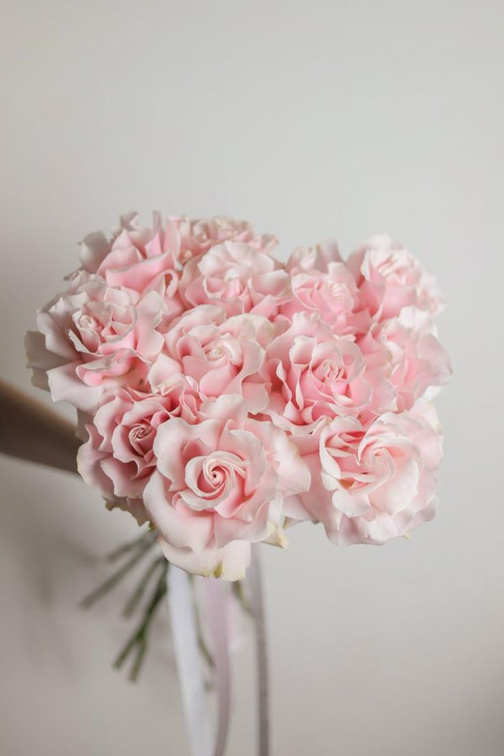 Sunset Hues in Petal Symphony